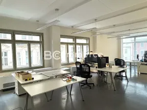 Pronájem kanceláře, Brno, 178 m2
