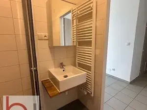 Pronájem bytu 1+1, České Budějovice, Matice školské, 38 m2