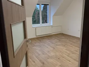 Pronájem rodinného domu, Strachotín, 200 m2