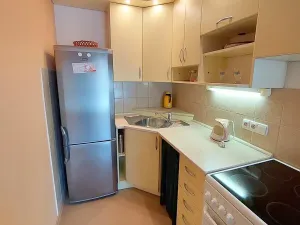 Pronájem bytu 2+kk, Brno, Sevastopolská, 46 m2