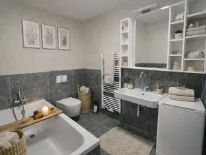 Pronájem bytu 1+kk, Brno, Bratislavská, 41 m2