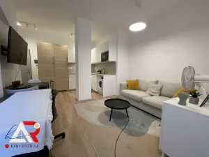 Pronájem bytu 1+kk, Brno, Jánská, 42 m2