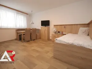 Pronájem bytu 1+kk, Brno, Táborská, 28 m2