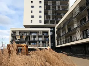 Pronájem bytu 1+kk, Praha - Modřany, Mezi vodami, 32 m2