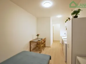 Pronájem bytu 1+kk, Brno, Francouzská, 21 m2