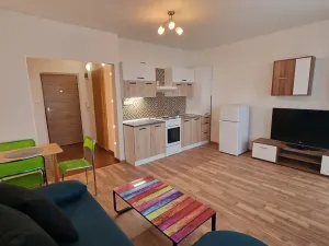 Pronájem bytu 1+kk, Plzeň, Jesenická, 32 m2