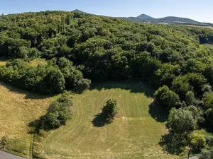 Prodej pozemku pro bydlení, Habrovany, 4217 m2