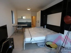 Pronájem bytu 1+kk, Praha - Karlín, U Mlýnského kanálu, 40 m2