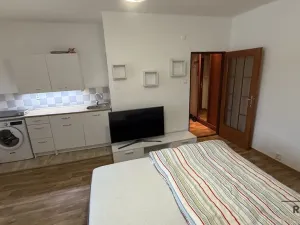 Pronájem bytu 1+kk, Havířov, Karolíny Světlé, 24 m2