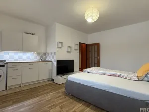 Pronájem bytu 1+kk, Havířov, Karolíny Světlé, 24 m2