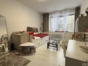 Pronájem bytu 1+1, Havířov, 17. listopadu, 36 m2