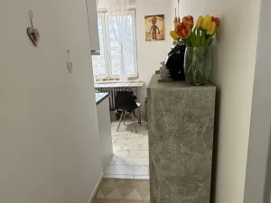 Pronájem bytu 1+1, Havířov, 17. listopadu, 36 m2