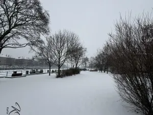 Prodej bytu 3+1, Přerov - Přerov I-Město, Tržní, 64 m2