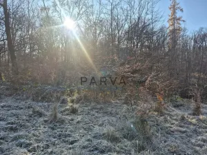 Pronájem bytu 3+1, Praha - Chodov, Láskova, 71 m2