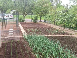 Prodej zahrady, Kroměříž, Kaplanova, 529 m2