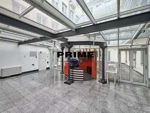 Pronájem kanceláře, Praha - Nové Město, Soukenická, 260 m2