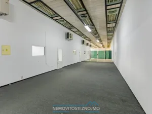 Pronájem skladu, Znojmo, Uhelná, 450 m2