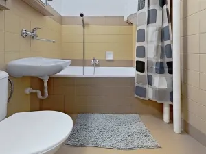 Pronájem bytu 1+kk, Prostějov, Kotěrova, 29 m2