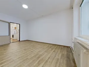 Pronájem bytu 1+kk, Prostějov, Kotěrova, 29 m2