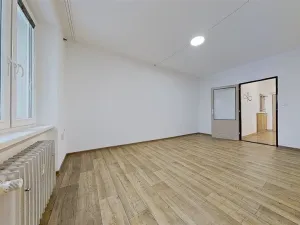 Pronájem bytu 1+kk, Prostějov, Kotěrova, 29 m2