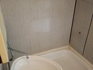 Pronájem bytu 1+1, Tábor, Helsinská, 43 m2