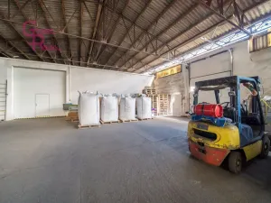 Prodej výrobních prostor, Těmice, 2178 m2