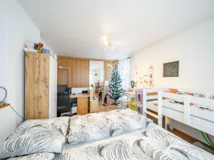 Prodej bytu 3+1, Lásenice, 60 m2