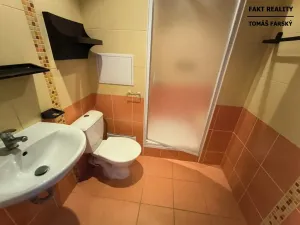 Pronájem bytu 1+kk, Děčín, Želenická, 25 m2