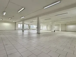 Pronájem obchodního prostoru, Veselí nad Moravou, Chaloupky, 1200 m2