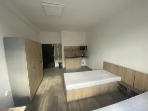 Pronájem ubytování, Dalovice, Botanická, 20 m2