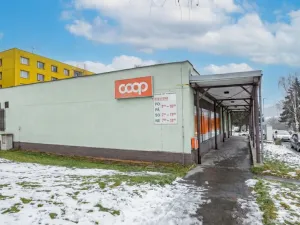 Prodej bytu 2+1, Jílové, Lipová, 65 m2