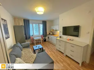 Pronájem bytu 1+kk, Ostrava, Heyrovského, 24 m2