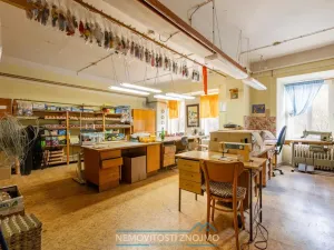 Prodej atypického bytu, Vranov nad Dyjí, Havlíčkovo nábřeží, 143 m2