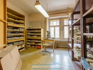 Prodej atypického bytu, Vranov nad Dyjí, Havlíčkovo nábřeží, 143 m2