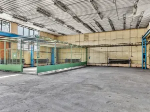 Pronájem skladu, Plzeň, Libušínská, 5000 m2