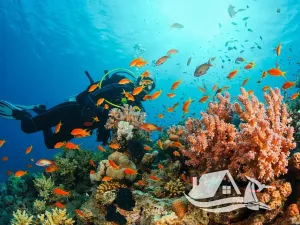 Prodej bytu 2+kk, Pattaya, Thajsko, 53 m2