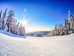 Prodej bytu 2+kk, Červená Voda - Mlýnický Dvůr, 180 m2