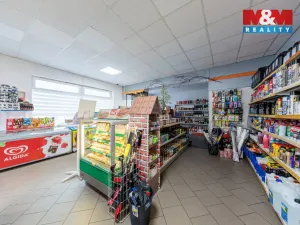 Prodej obchodního prostoru, Nová Role - Mezirolí, 120 m2