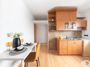 Prodej bytu 1+kk, Šestajovice, Revoluční, 17 m2