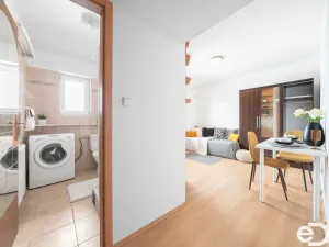 Prodej bytu 1+kk, Šestajovice, Revoluční, 17 m2