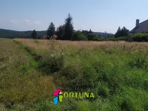 Prodej pozemku pro bydlení, Hvozdnice, 5887 m2