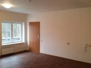 Pronájem bytu 1+kk, Bílý Potok, 39 m2