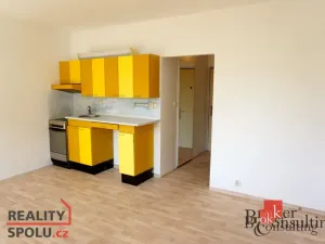 Pronájem bytu 1+kk, Plzeň - Severní Předměstí, Elišky Krásnohorské, 33 m2