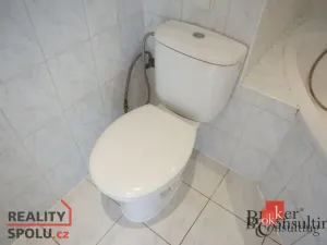 Pronájem bytu 1+kk, Plzeň - Severní Předměstí, Elišky Krásnohorské, 33 m2