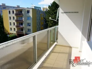 Pronájem bytu 1+kk, Plzeň - Severní Předměstí, Elišky Krásnohorské, 33 m2