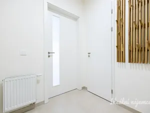 Pronájem bytu 1+kk, Praha - Hostivař, Nurmiho, 40 m2