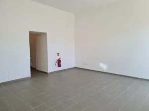 Pronájem obchodního prostoru, Brno, Vranovská, 43 m2