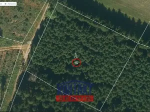 Prodej lesa, Otín, 4352 m2