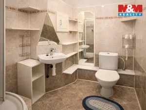 Pronájem bytu 1+kk, Strakonice - Přední Ptákovice, Šumavská, 25 m2