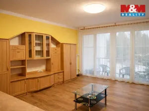 Pronájem bytu 1+kk, Strakonice - Přední Ptákovice, Šumavská, 25 m2